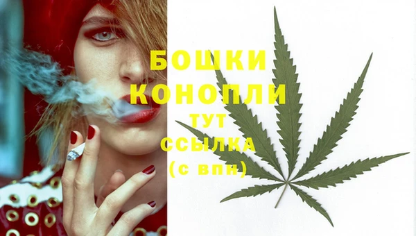 мдма Бородино