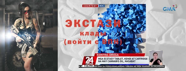 гидра Богородицк