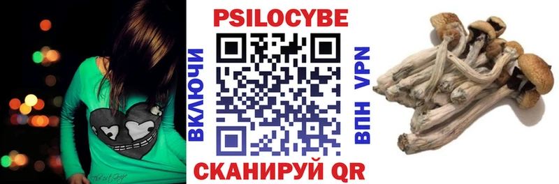 Галлюциногенные грибы мицелий  Мурино 